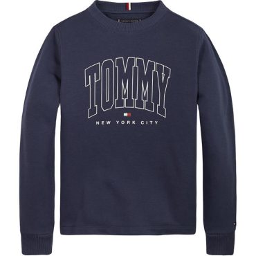 Boys Bold Varsity Sweatshirt Tommy Hilfiger Less Expensive