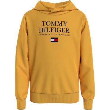 Junior Essential Logo Hoody Tommy Hilfiger Superior Style