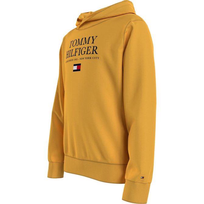 Junior Essential Logo Hoody Tommy Hilfiger Superior Style - Image 3